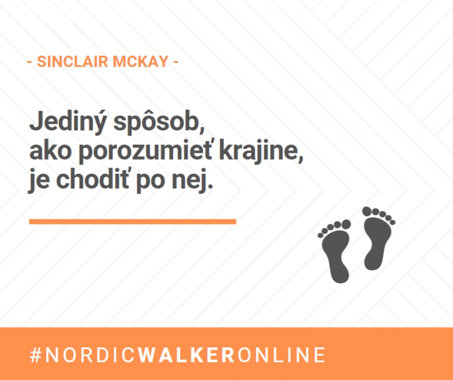 Mudrovačka od Sinclair Mackaya 