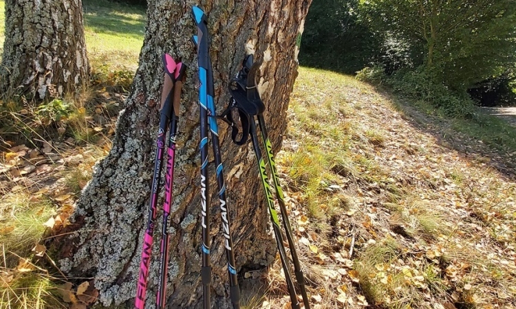AKO SI SPRÁVNE VYBRAŤ VHODNÉ PALICE PRE NORDIC WALKING