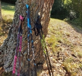 AKO SI SPRÁVNE VYBRAŤ VHODNÉ PALICE PRE NORDIC WALKING 