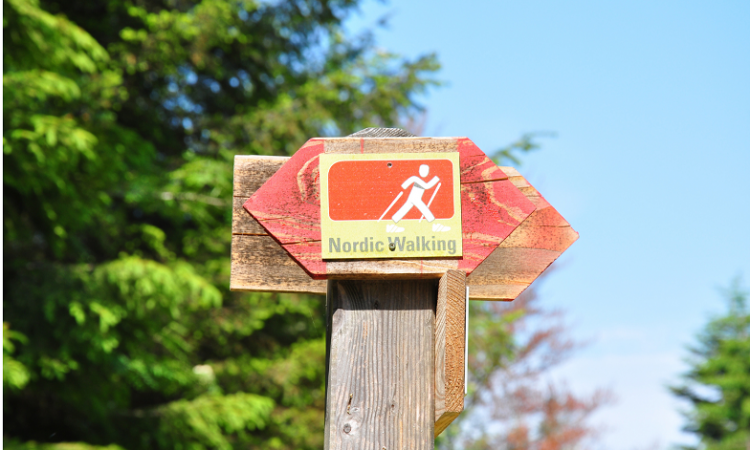 AKO ĎALEJ PO ABSOLVOVANÍ KURZU NORDIC WALKING?