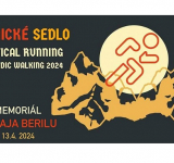 LESNÍCKE SEDLO - VERTICAL 2024