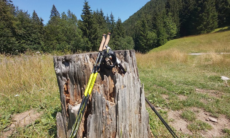 AKO SA STARAŤ O PALICE NA NORDIC WALKING, ABY VYDRŽALI ČO NAJDLHŠIE